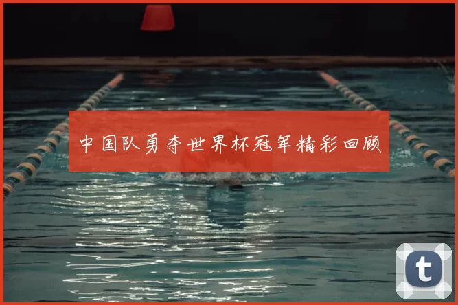 中国队勇夺世界杯冠军精彩回顾