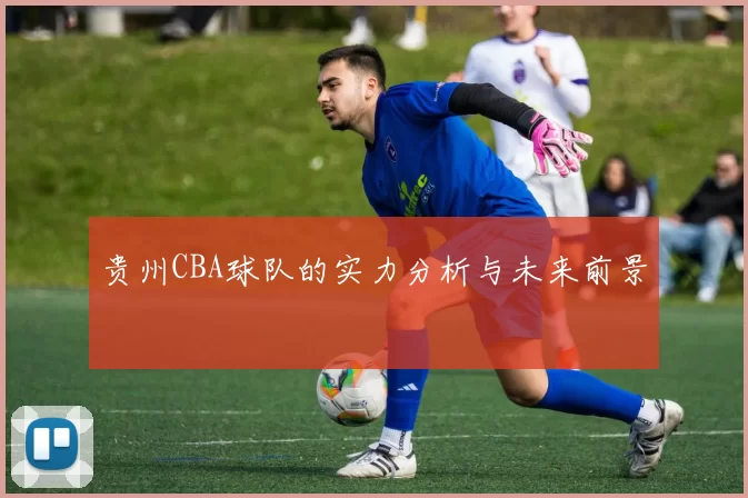 贵州CBA球队的实力分析与未来前景