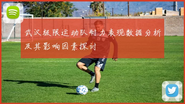 武汉极限运动队耐力表现数据分析及其影响因素探讨