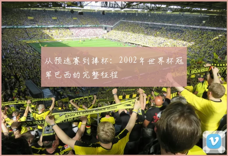 从预选赛到捧杯:2002年世界杯冠军巴西的完整征程