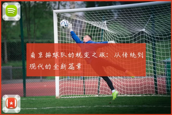 南京排球队的蜕变之旅：从传统到现代的全新篇章