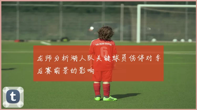龙师分析湖人队关键球员伤停对季后赛前景的影响