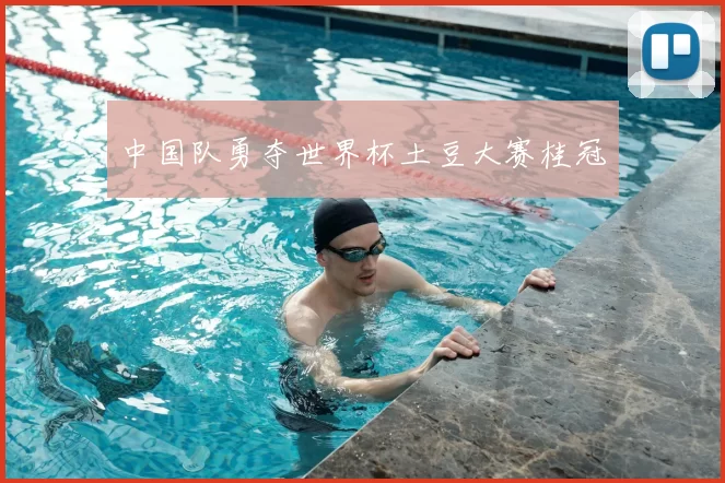 中国队勇夺世界杯土豆大赛桂冠