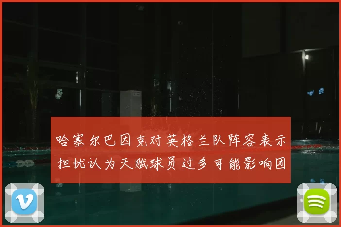 哈塞尔巴因克对英格兰队阵容表示担忧认为天赋球员过多可能影响团队合作