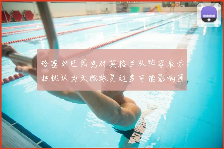 哈塞尔巴因克对英格兰队阵容表示担忧认为天赋球员过多可能影响团队合作