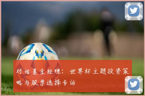 对话基金经理:世界杯主题投资策略与股票选择专访