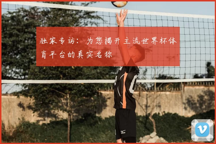 独家专访:为您揭开主流世界杯体育平台的真实名称