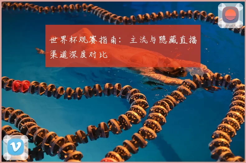 世界杯观赛指南：主流与隐藏直播渠道深度对比