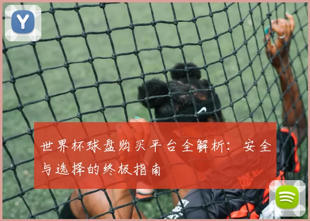 世界杯球盘购买平台全解析:安全与选择的终极指南