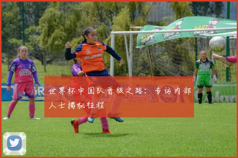 世界杯中国队晋级之路：专访内部人士揭秘征程
