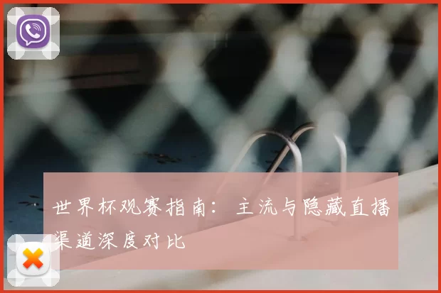 世界杯观赛指南：主流与隐藏直播渠道深度对比
