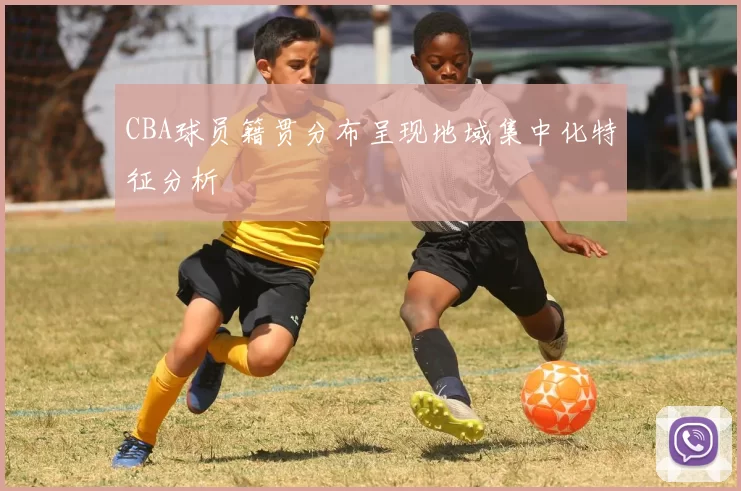 CBA球员籍贯分布呈现地域集中化特征分析