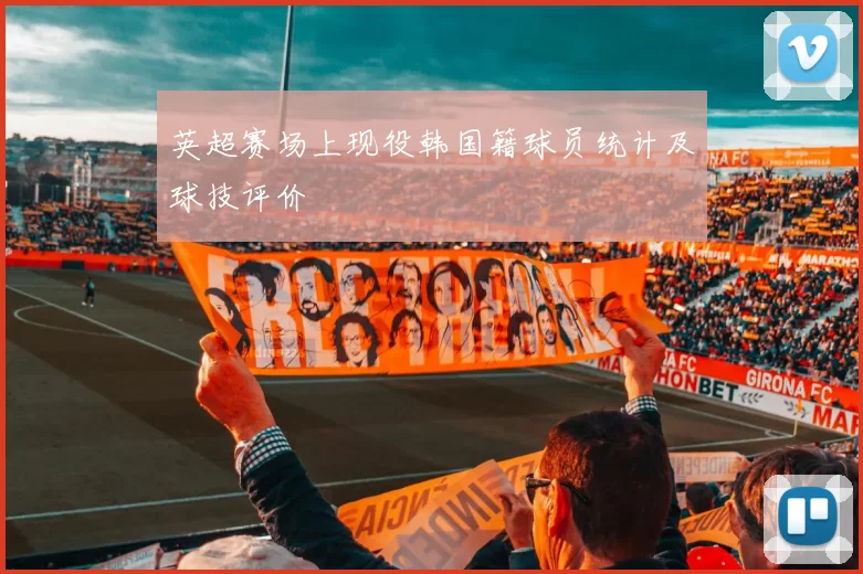 英超赛场上现役韩国籍球员统计及球技评价