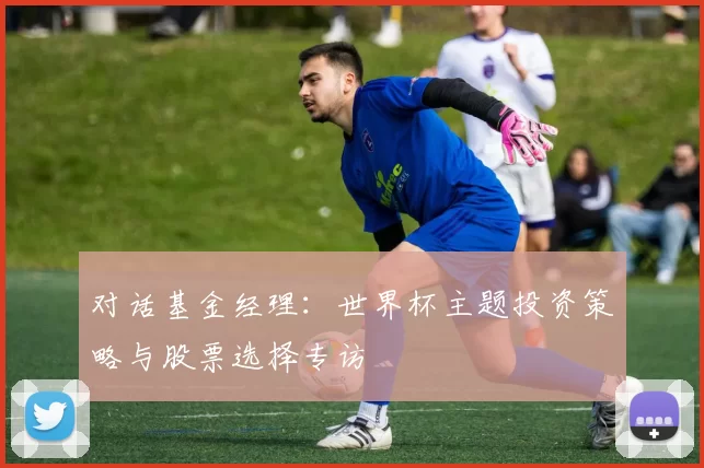 对话基金经理：世界杯主题投资策略与股票选择专访