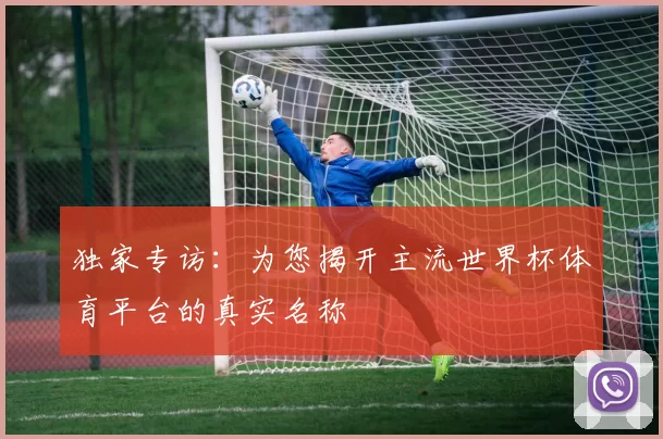 独家专访:为您揭开主流世界杯体育平台的真实名称